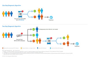 HCV algorithm infographic